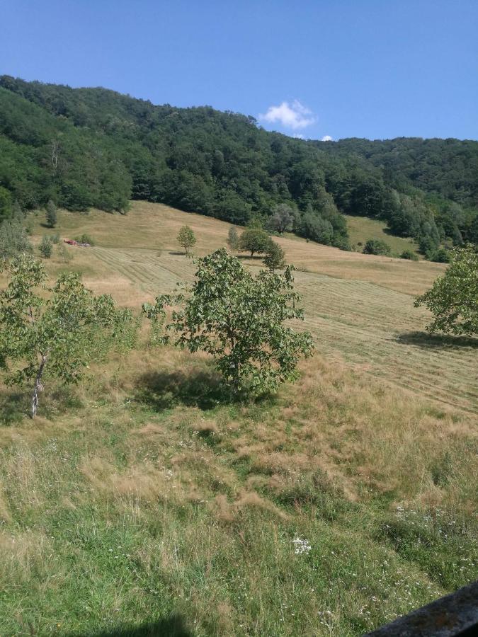 Standard Twin Room with Mountain View,1055543254:JPEG