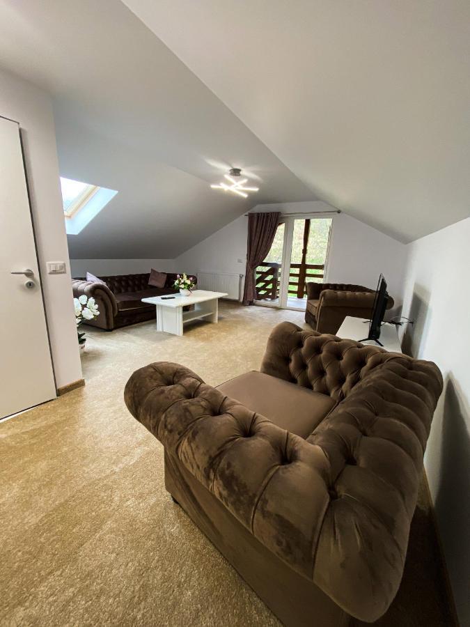 Apartament cu vedere la munte