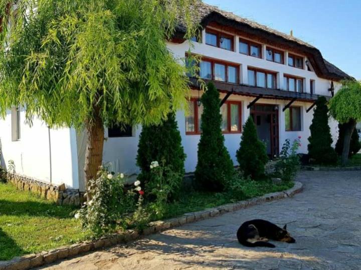 Cameră dublă