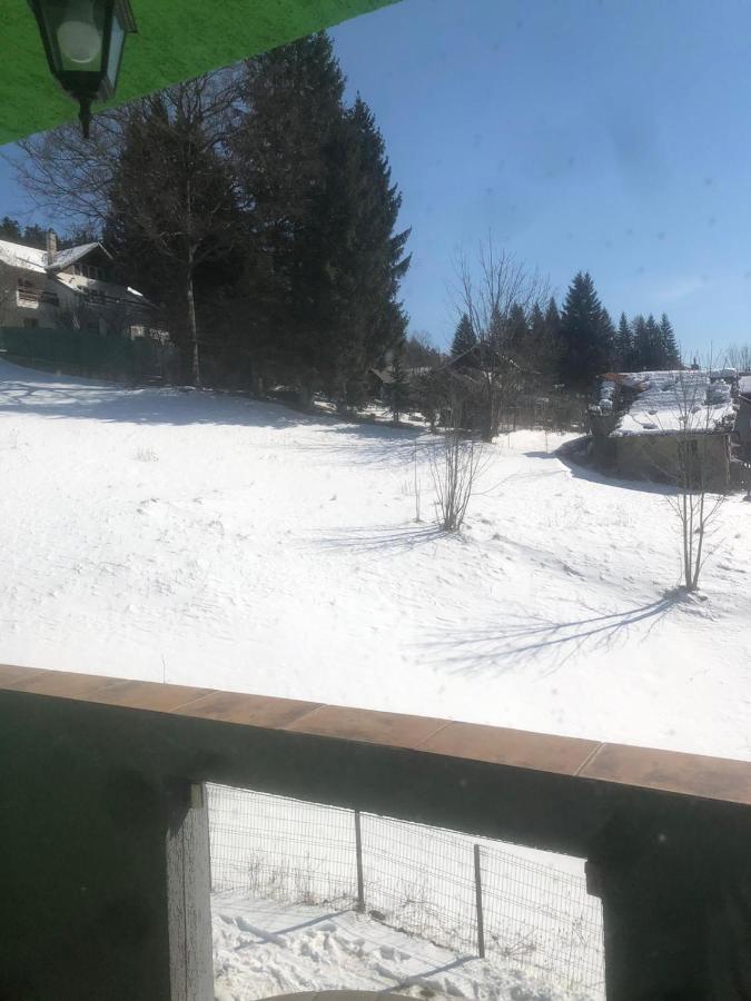 Apartament cu 1 dormitor
