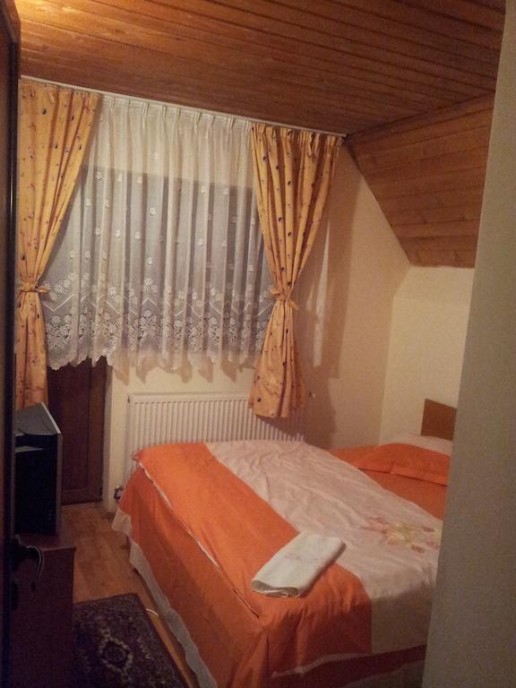 Vilă cu 8 dormitoare