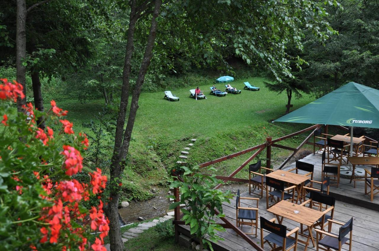 Suită cu 1 dormitor