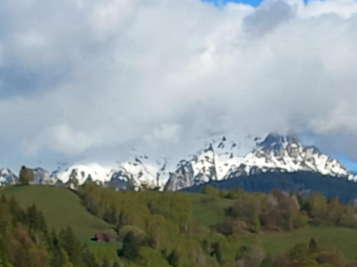 Cameră cvadruplă cu vedere la munte