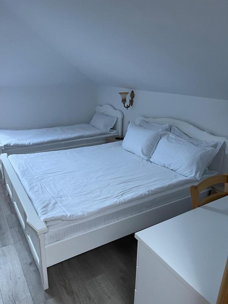 Vilă cu 3 dormitoare
