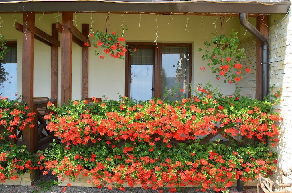 Cameră twin cu balcon