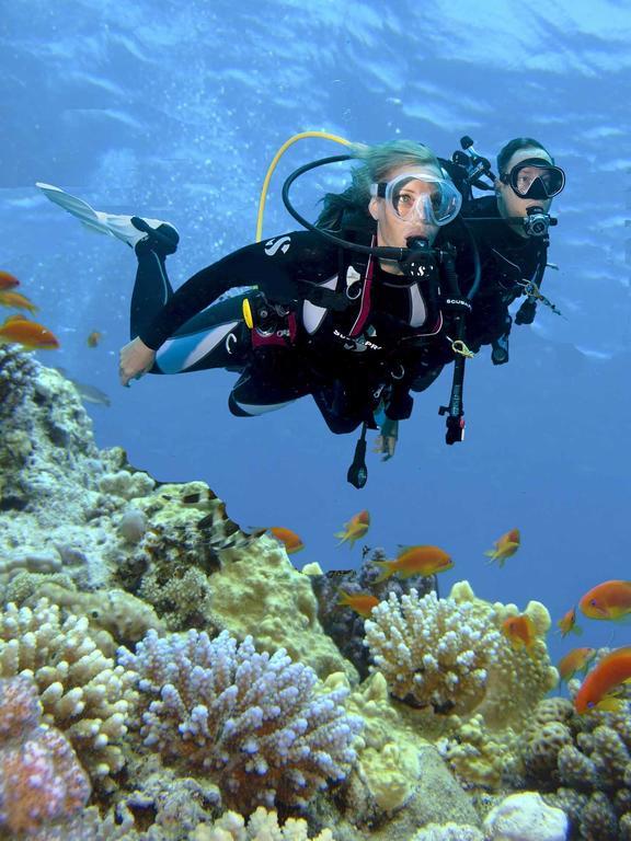 Curs PADI Open Water Dive