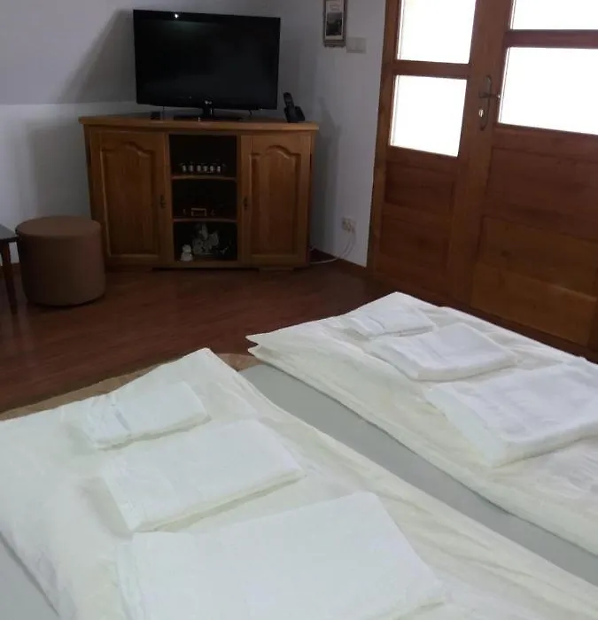 Casa Vlasea Albesti Sighișoara-1