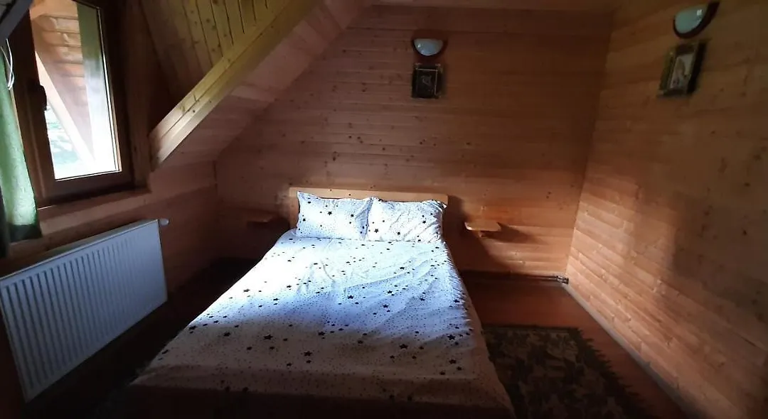 Cabana Ancutei-1