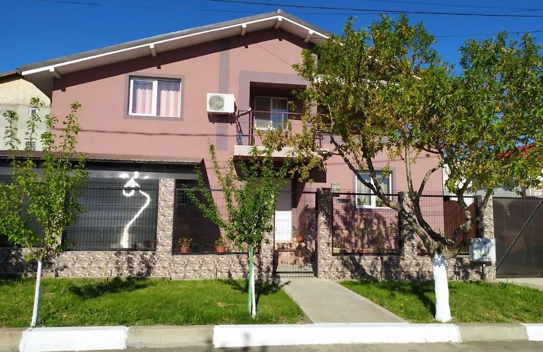 Vila Dragomir-1
