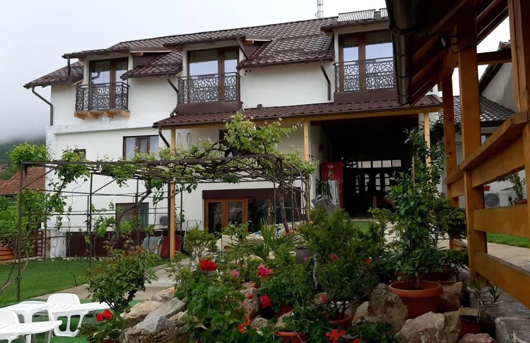 Casa Sviniceană-1