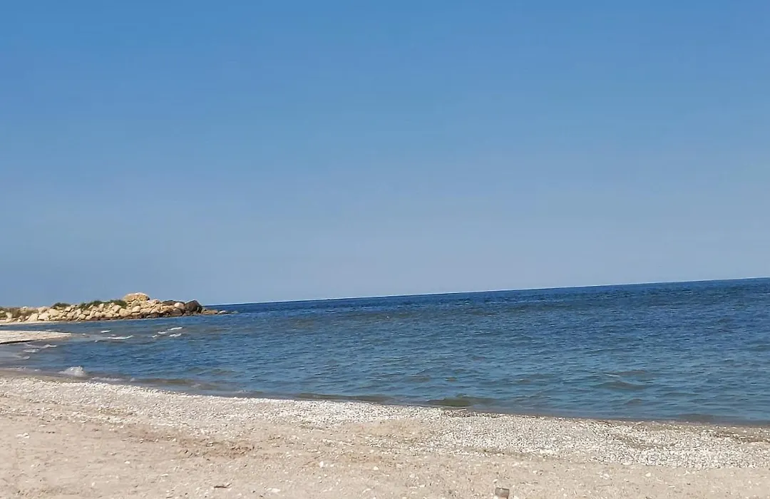 La Olteanu-1