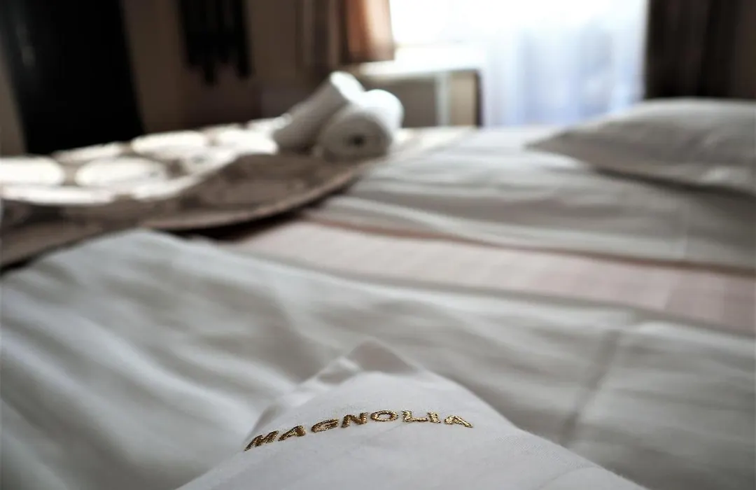 Pensiunea Magnolia-1