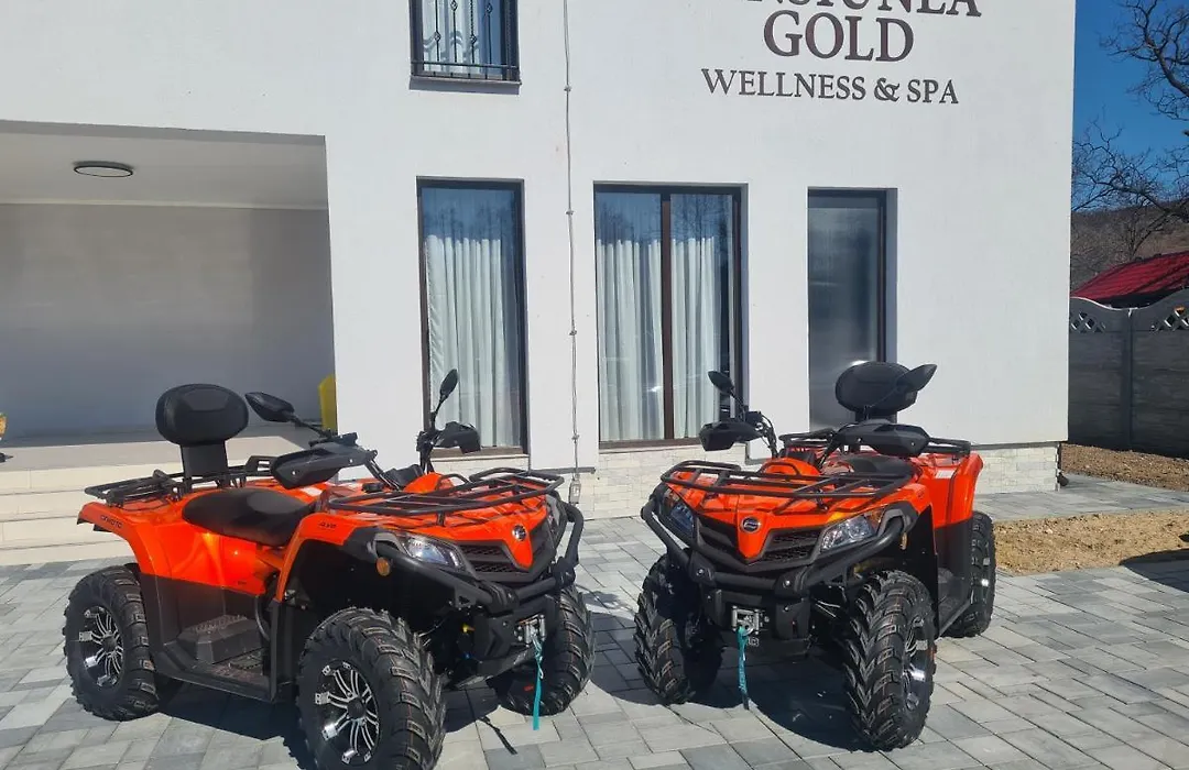 Pensiunea GOLD Wellness&Spa-1