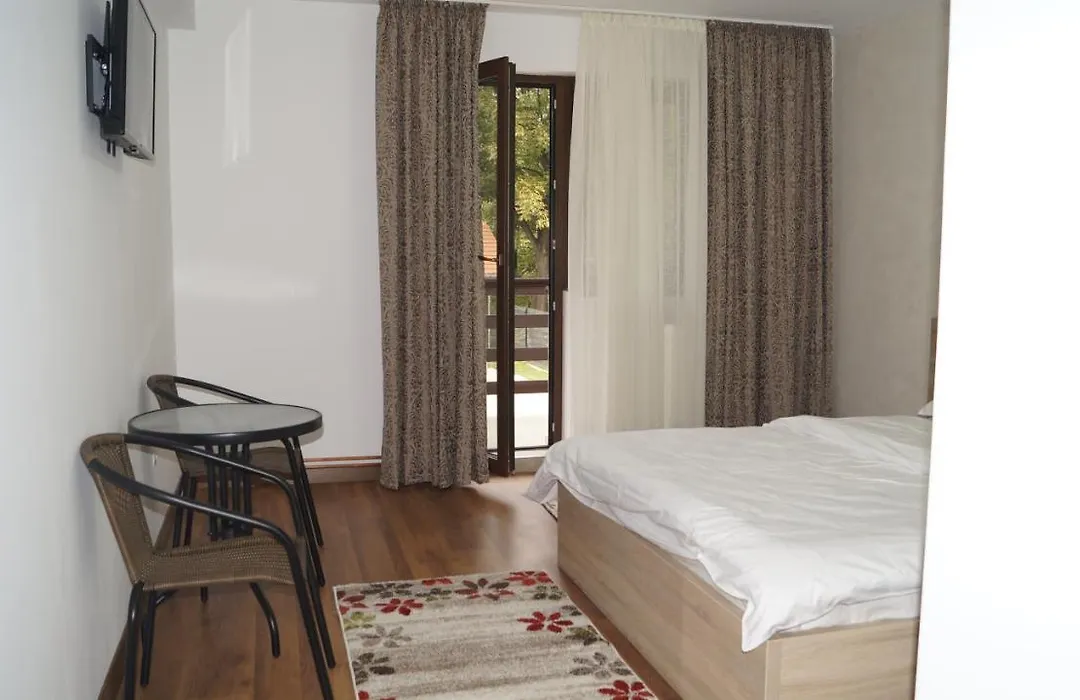 Vila Ovidiu-1