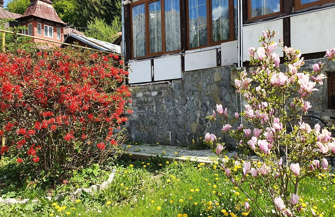 Vila Bradet-1
