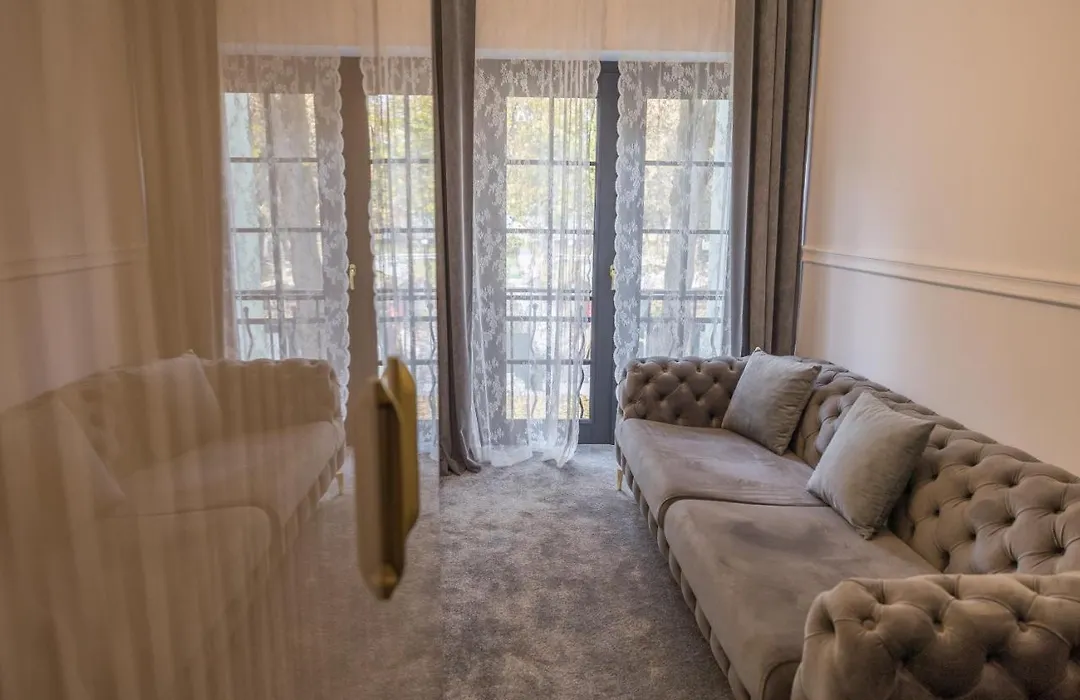Hotel Vila Central Boutique Satu Mare-1