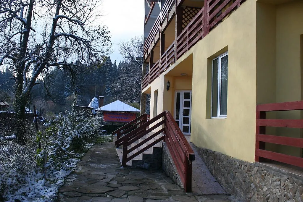 Pensiunea Nadine-1