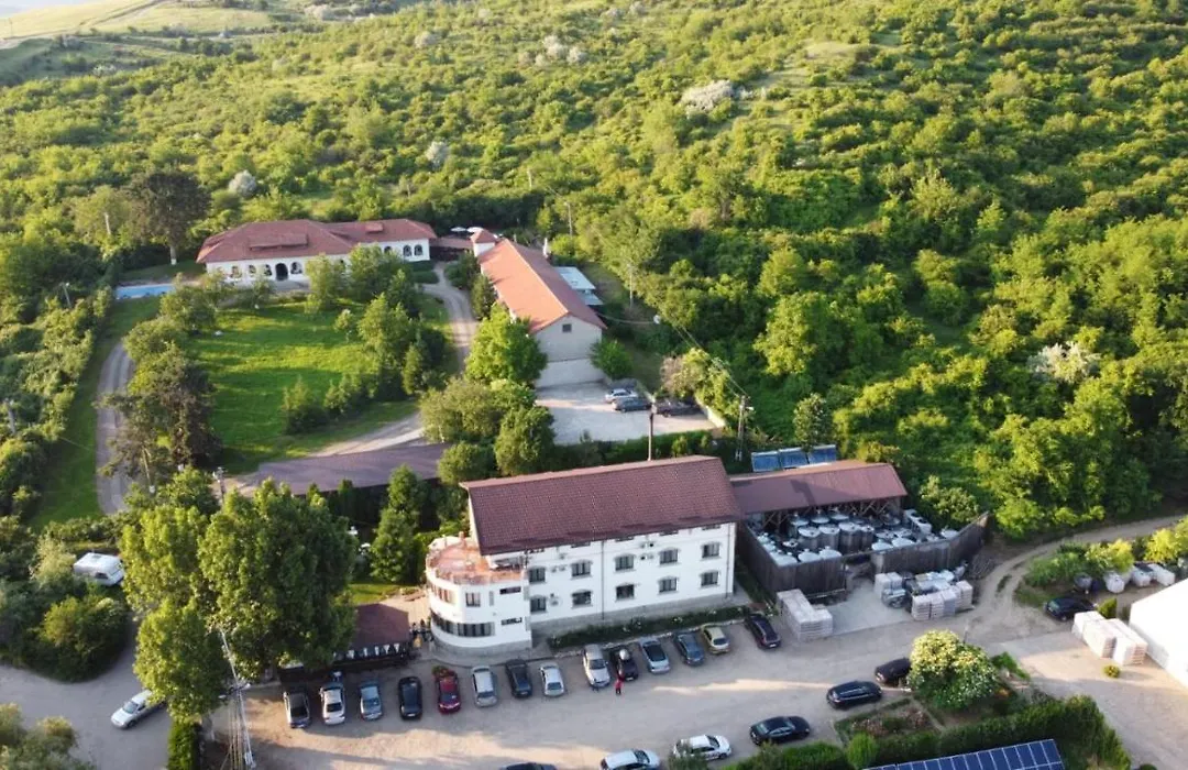 Casa Colinelor-1