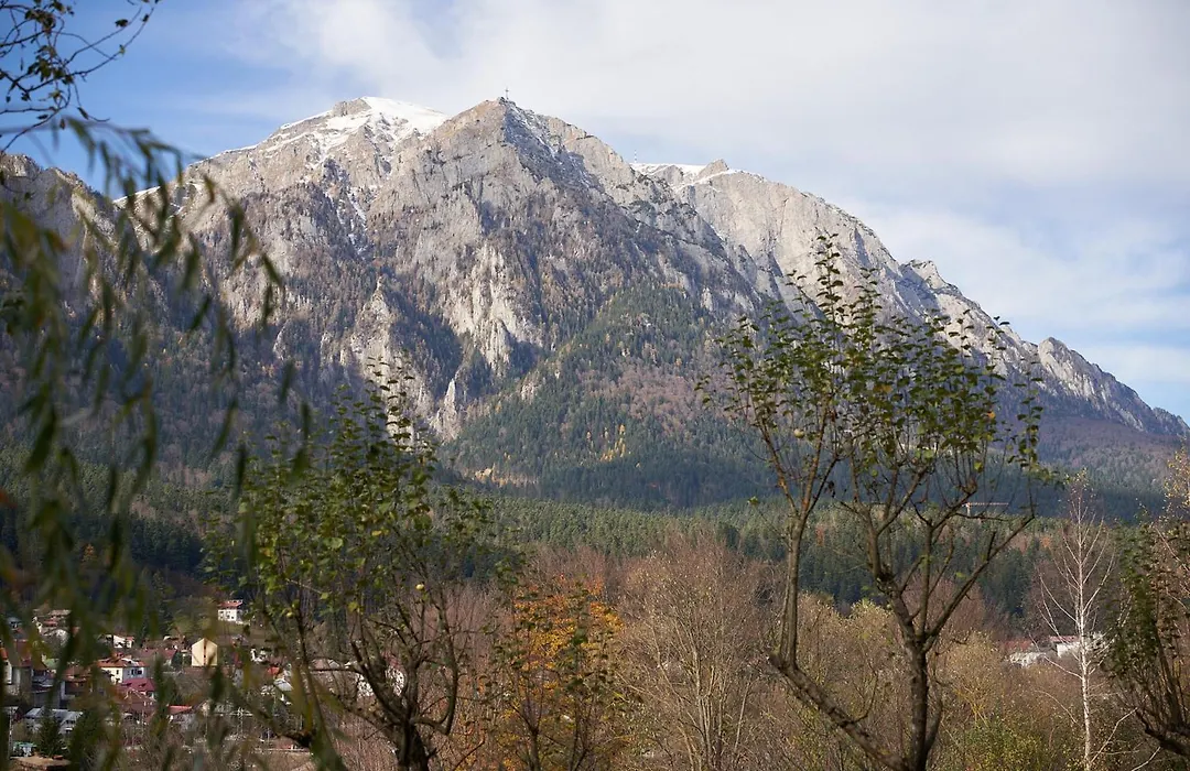 Chalet&Spa Maestrul si Margareta-1