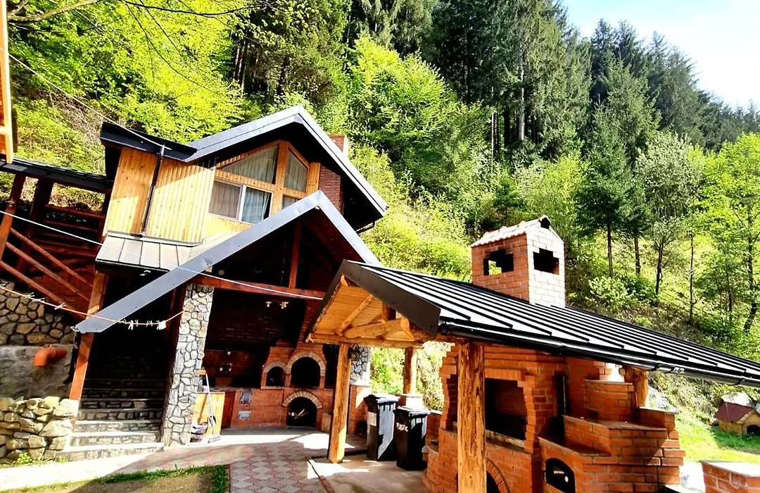 Căbănuța Cocoțată-1