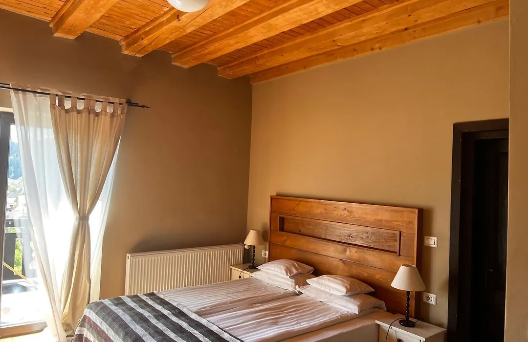 Bucovina Lodge Pension-1
