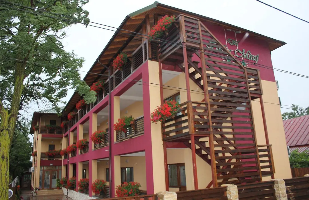 Pension Delta Miraj-1