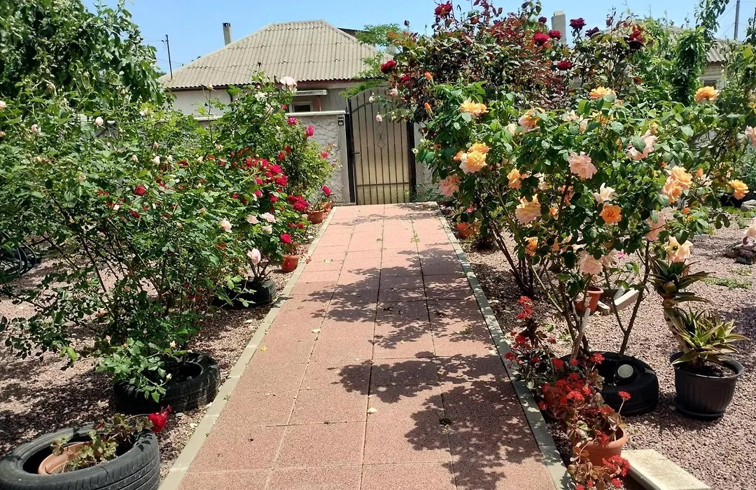 Casa Doina-1
