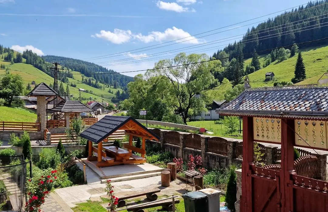 Casa Agroturistica Tarancuta din Vatra Moldovitei-1