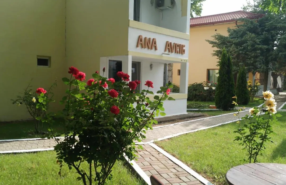 Ana Avrig-1