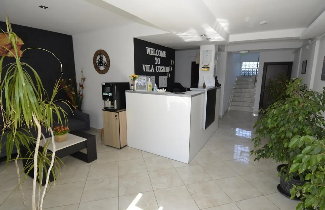Vila Cosmin-1
