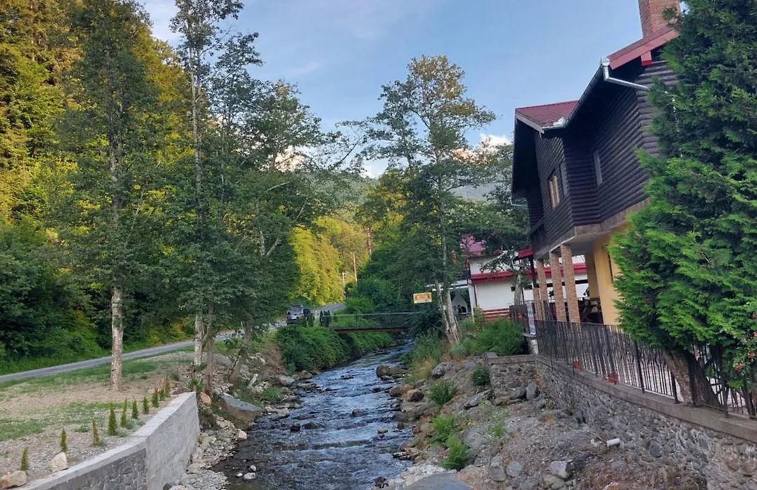 Dor de Munte Transfăgarasan-1