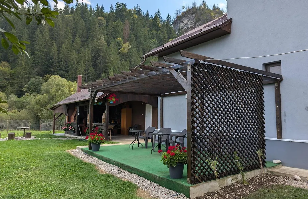 Cazare La Piatra Buhei-1