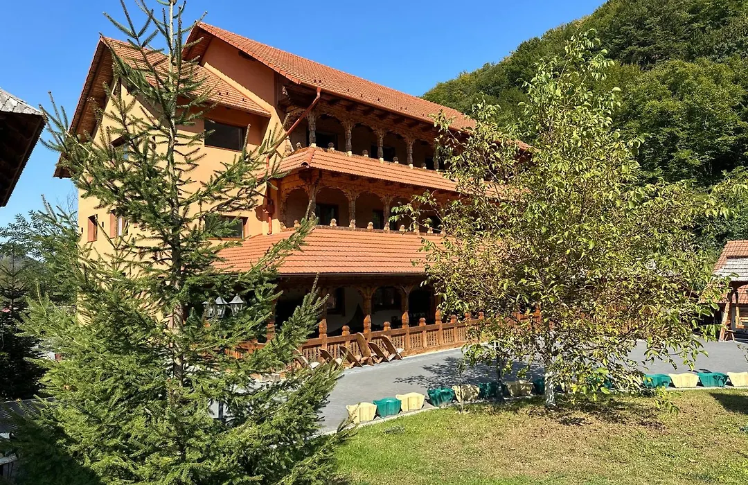 Pensiunea Casa Suciu-1