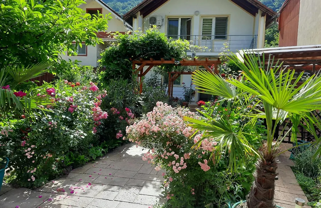 Pension Eden-1