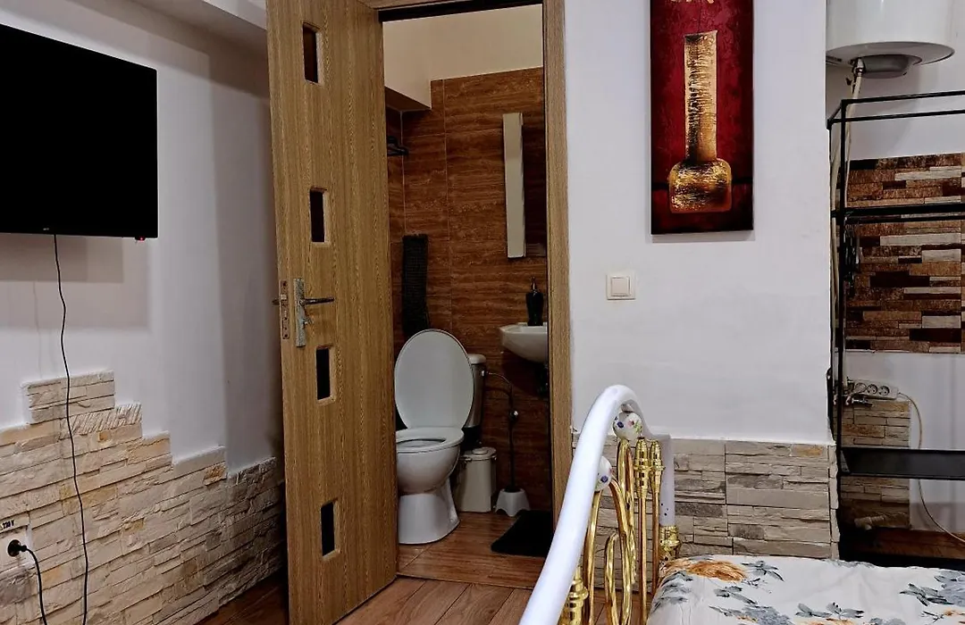 Regim Hotelier Pietonală-1