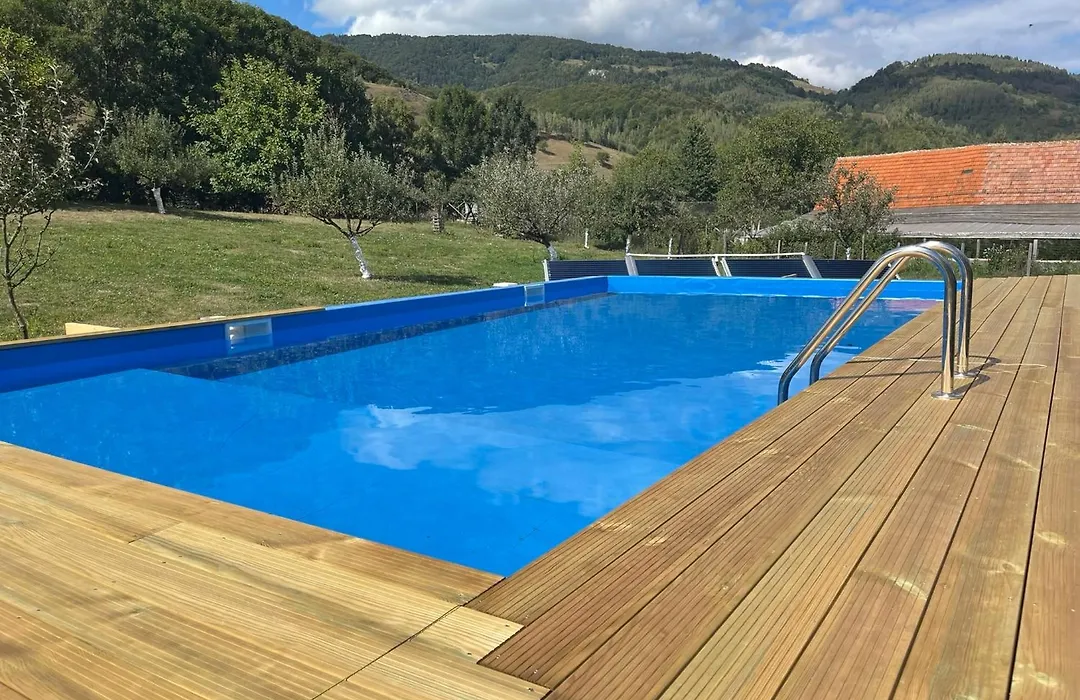 Vila Niculina-1
