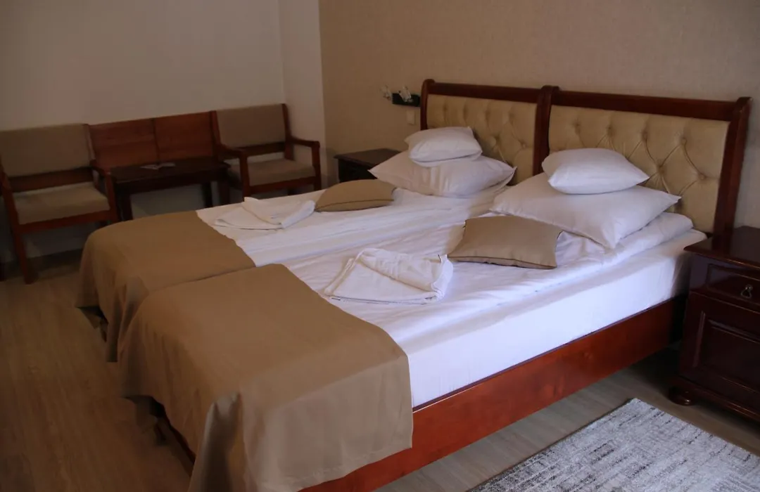 Hotel Nemira-1