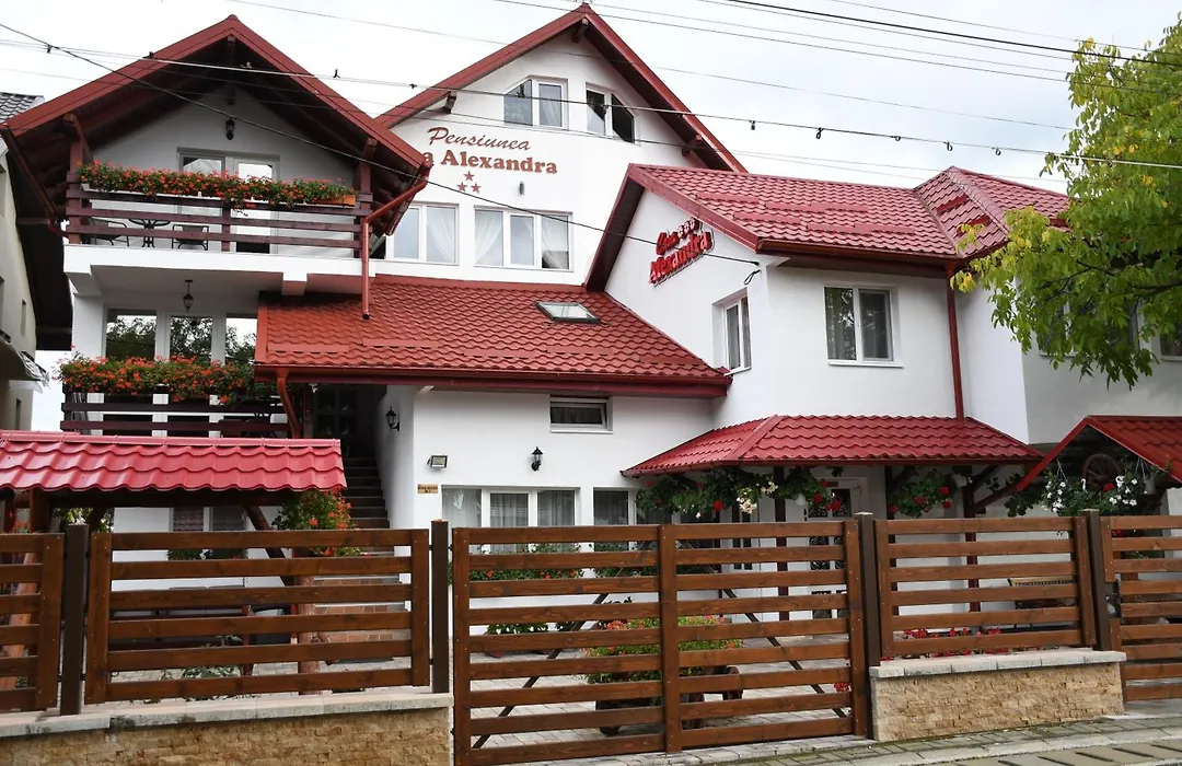 Pensiunea Casa Alexandra-1