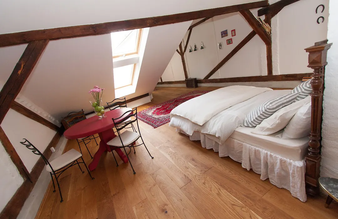 Camino Home-1