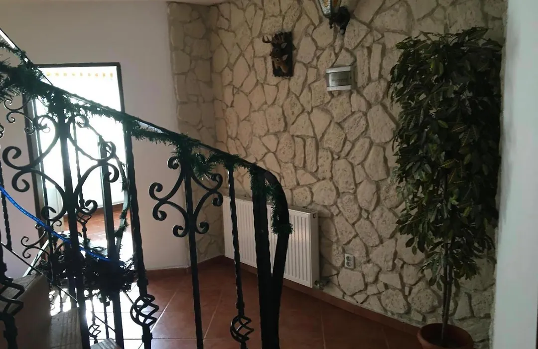 Vila Ianis Bran-1