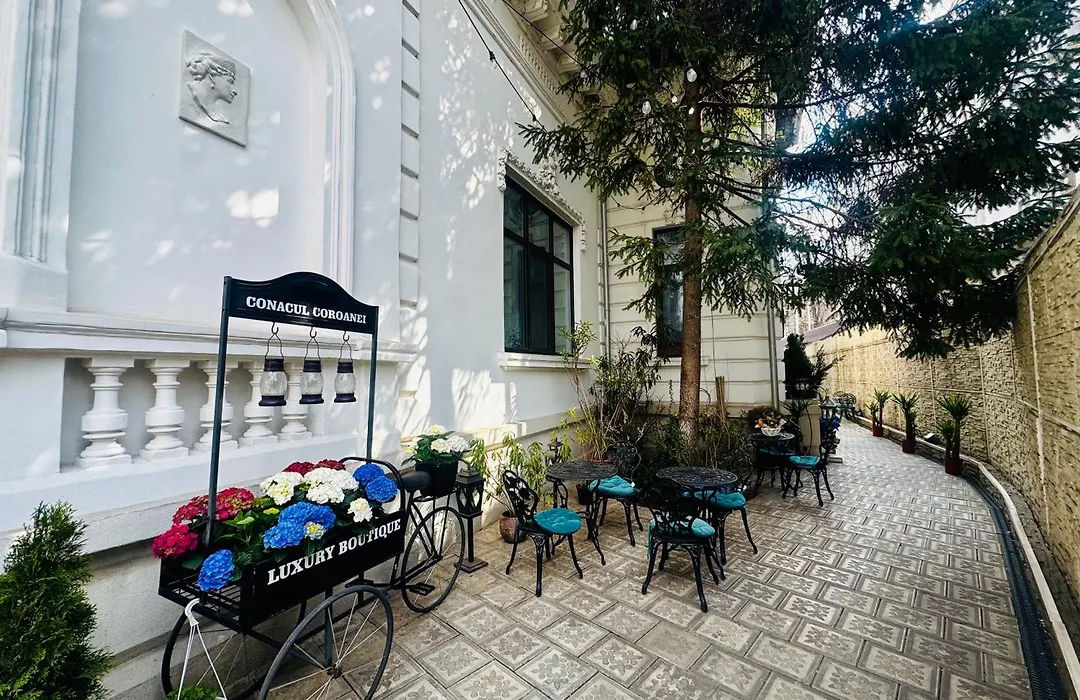 Conacul Coroanei Luxury Boutique-1