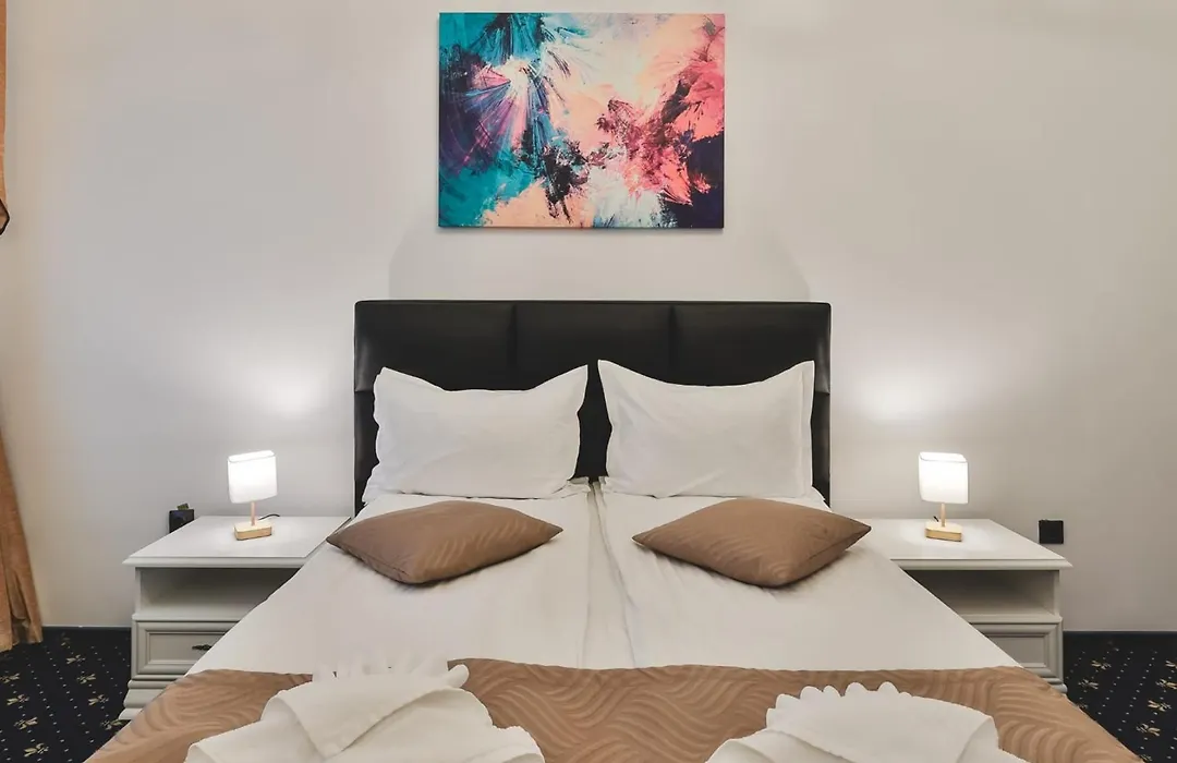 Hotel Carol - Vatra Dornei-1
