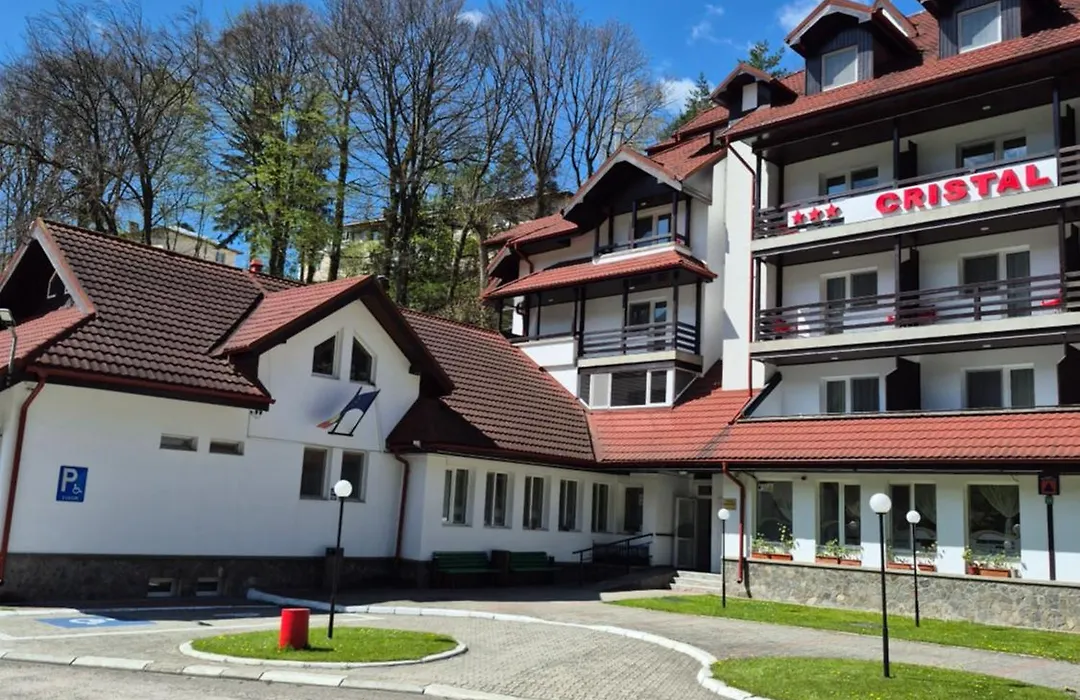Cristal Sinaia-1