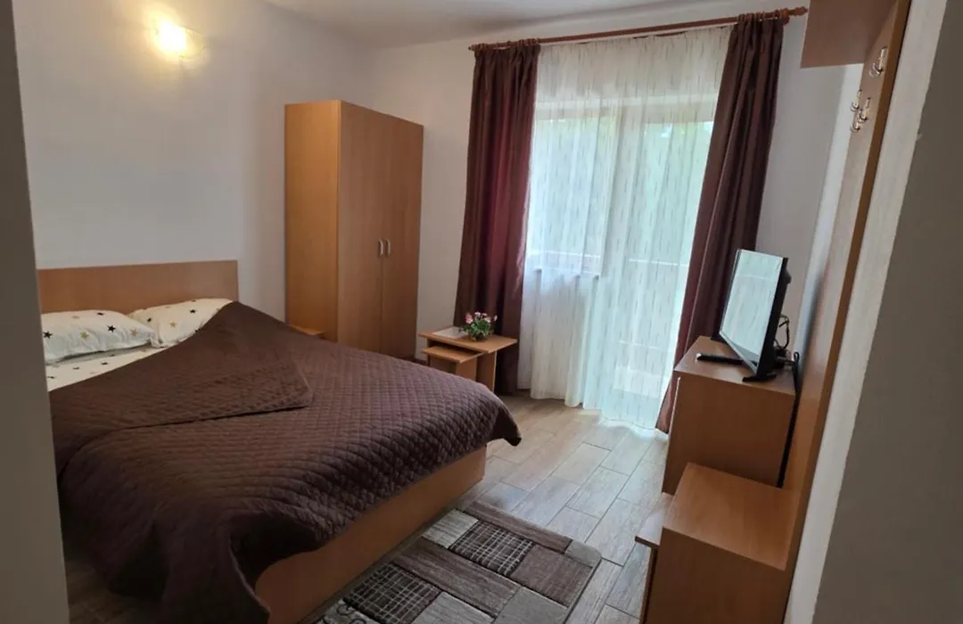 Vidra Parc-1