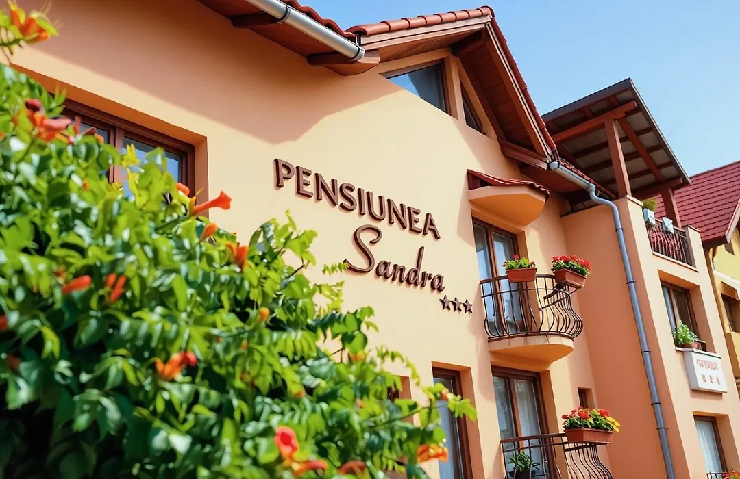 Pensiunea Sandra-1