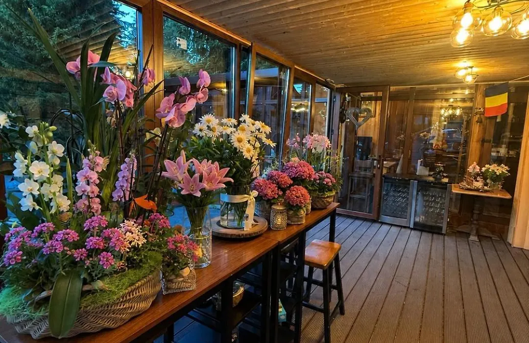 Cabana Din Poienita-1