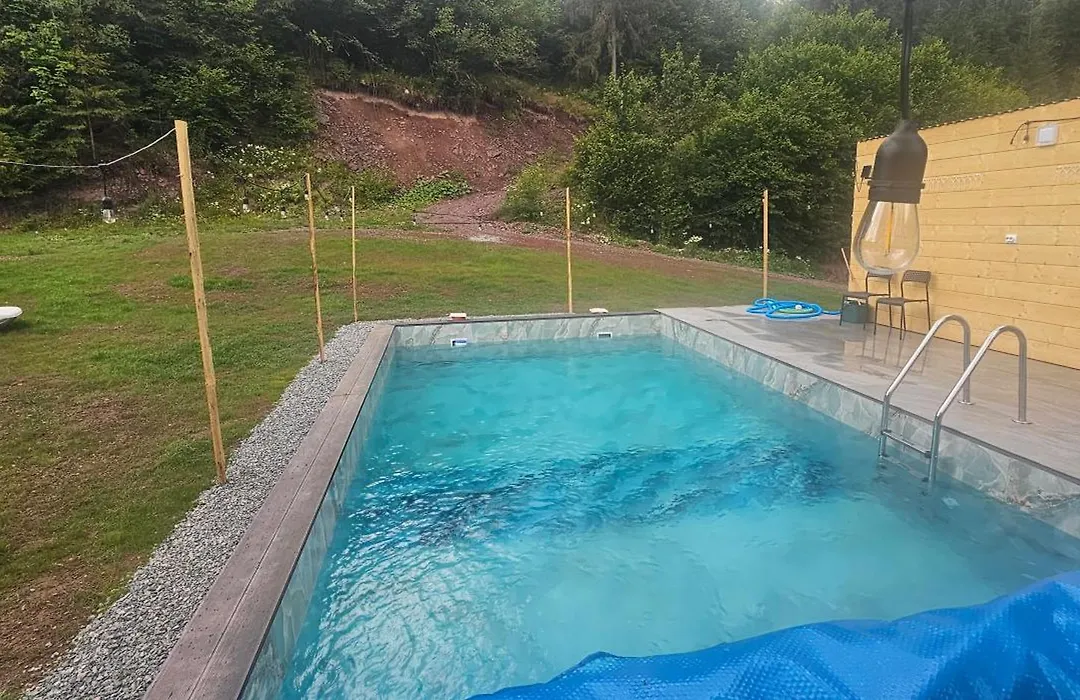 Cabana din Vale Arieseni Apuseni cu Piscina-1