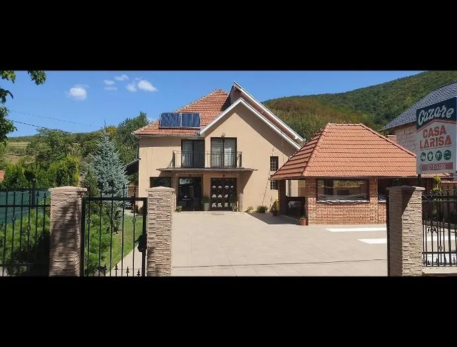 Casa Larisa-1