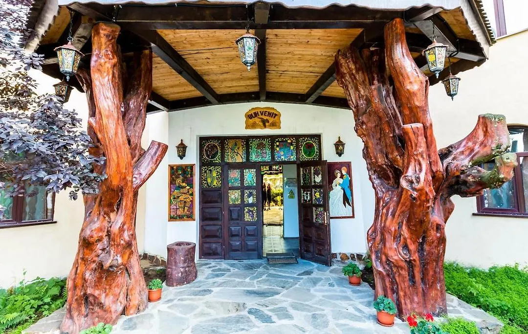 Castelul de Vis-1