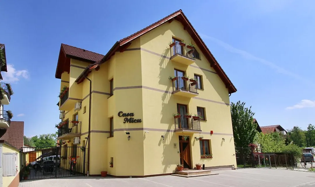 Casa Micu-1